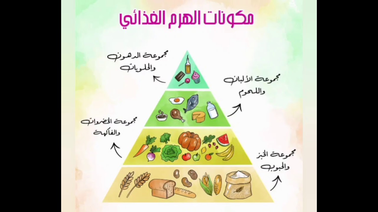 جدول الغذاء الصحي اليومي