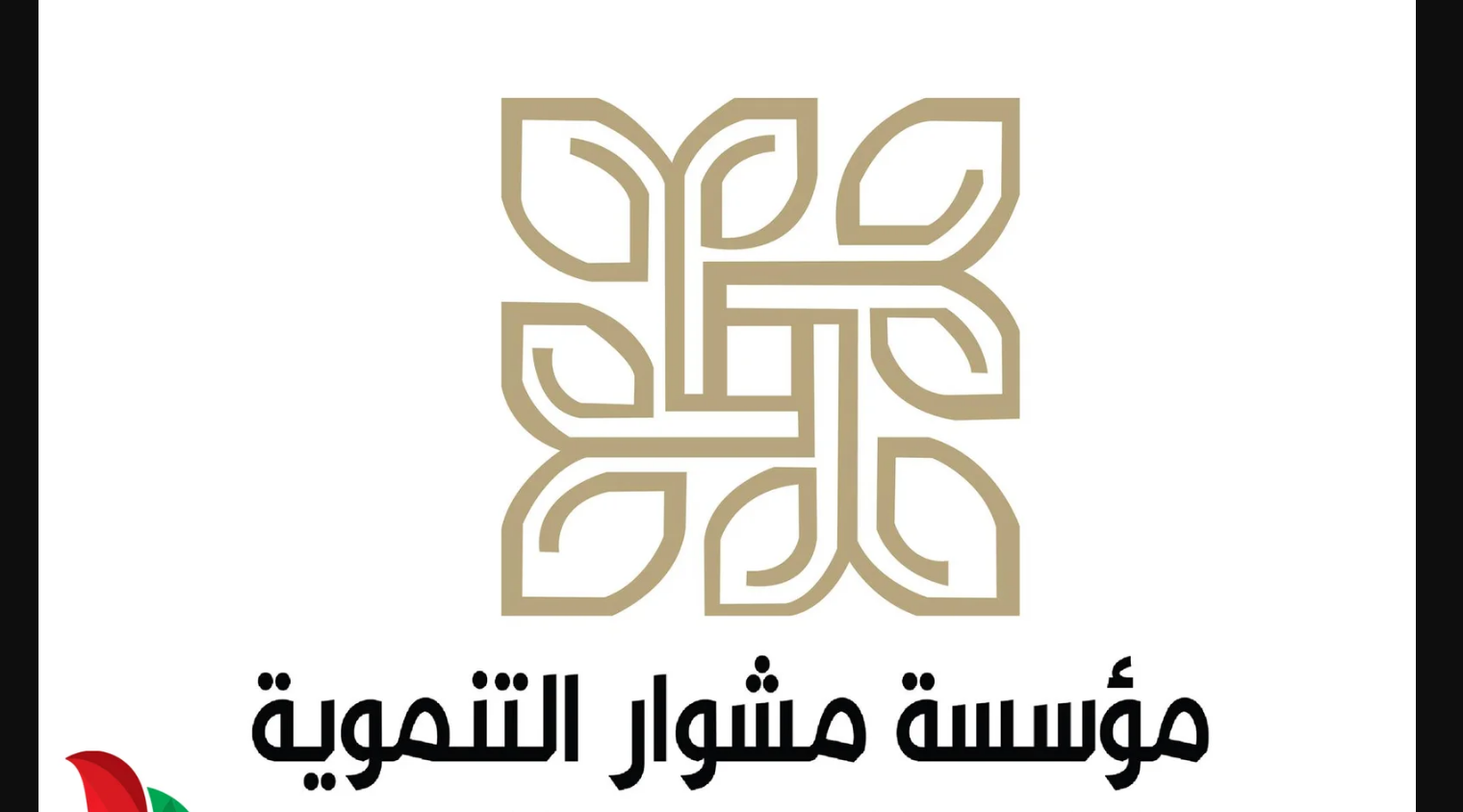 رابط تسجيل مؤسسة التعاون للملابس للجميع غزة تايم