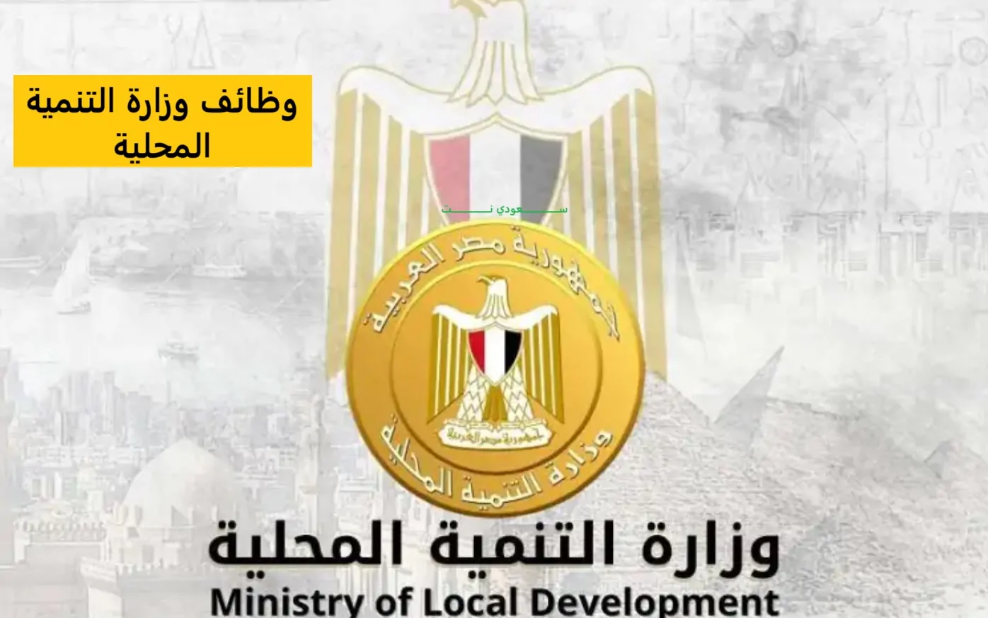 وظائف وزارة التنمية المحلية