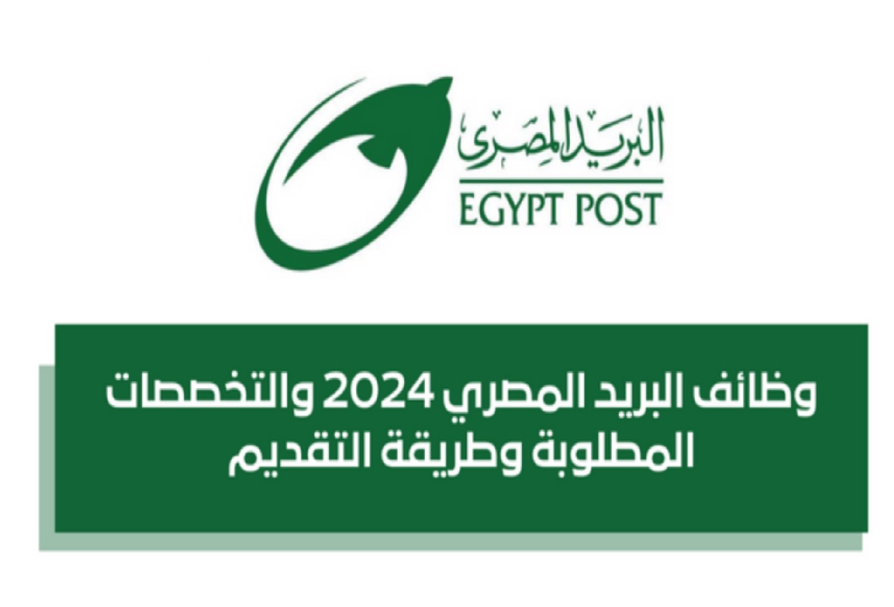 وظائف البريد المصري 2025