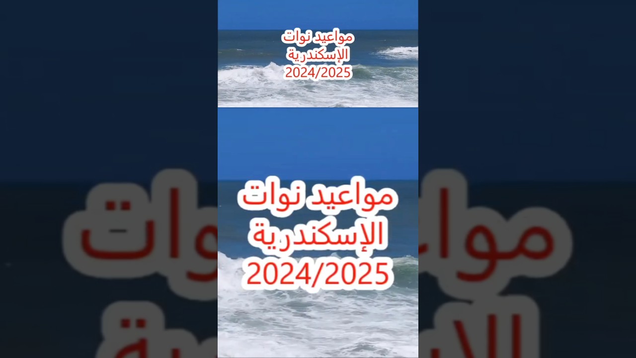 مواعيد نوات الاسكندرية 2024-2025