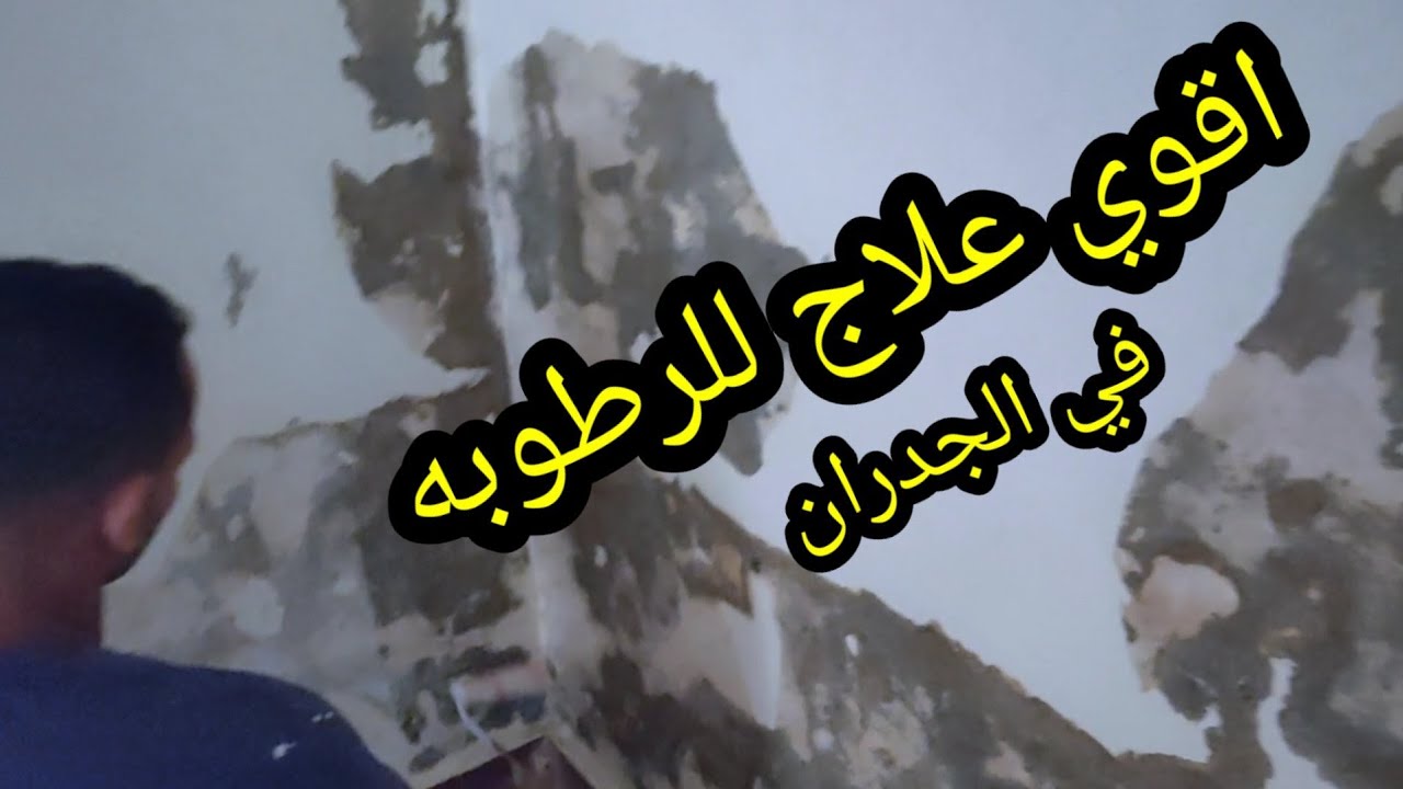 علاج رطوبة الحوائط