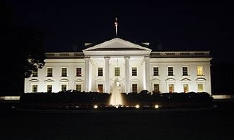 resize 1 1