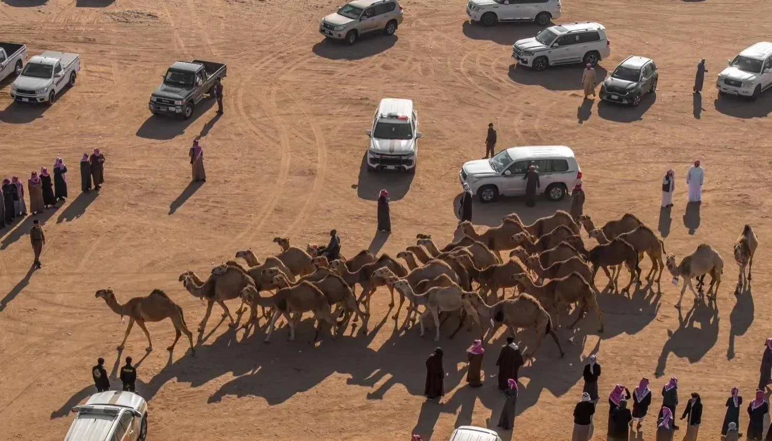 التصويت منقية الجزيره