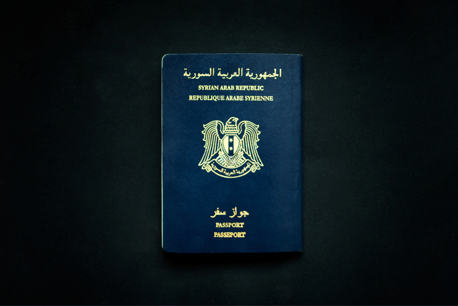 خطوات حجز جواز السفر السوري 2025