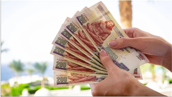 أفضل استثمار بأعلى عائد .. كيفية حساب عائد شهادة ادخار البنك الأهلي 2025 على مبلغ 200 ألف جنيه | تفاصيل العوائد والشهادات المتاحة 2 1738094791 959