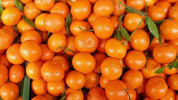 392