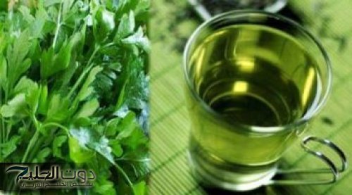 طلع كنز واحنا منعرفش.. أسباب مذهلة تجعلك تتناول كوبًا من عصير البقدونس يوميًا على الريق.. فوائد صحية ستدهشك ونتائج سريعة لن تتخيلها! 2 4937aa879e