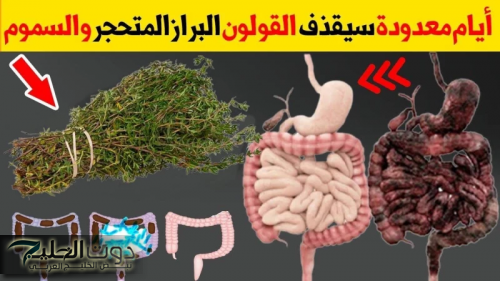 7a9fdadc32