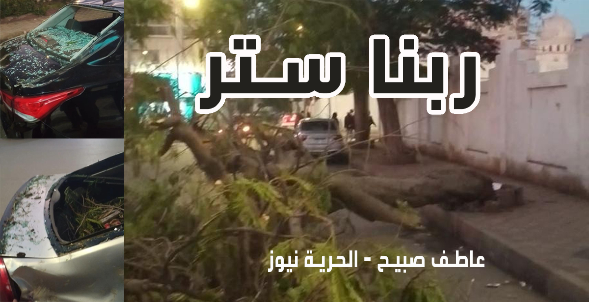 تحطم سيارتين سقطت شجرة عليهما في دمنهور بالبحيرة