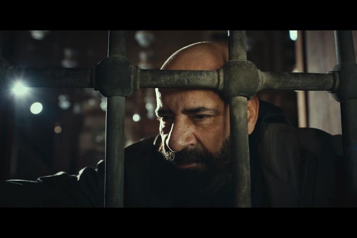 محمد سعد 1735812229 0