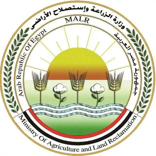 1747439175 0