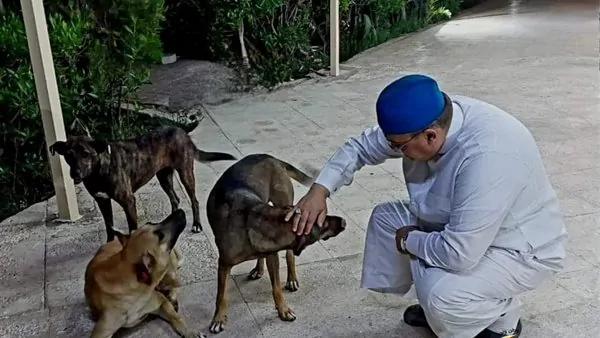 936